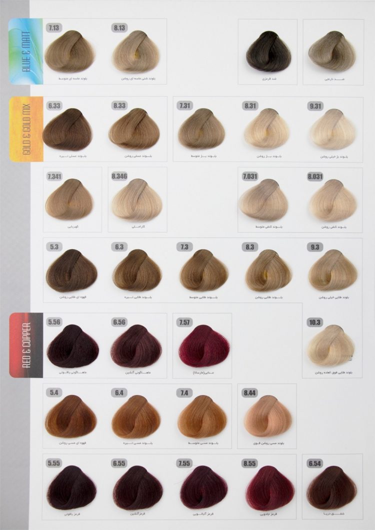 رنگ مو تونی TONY - تصویر 3